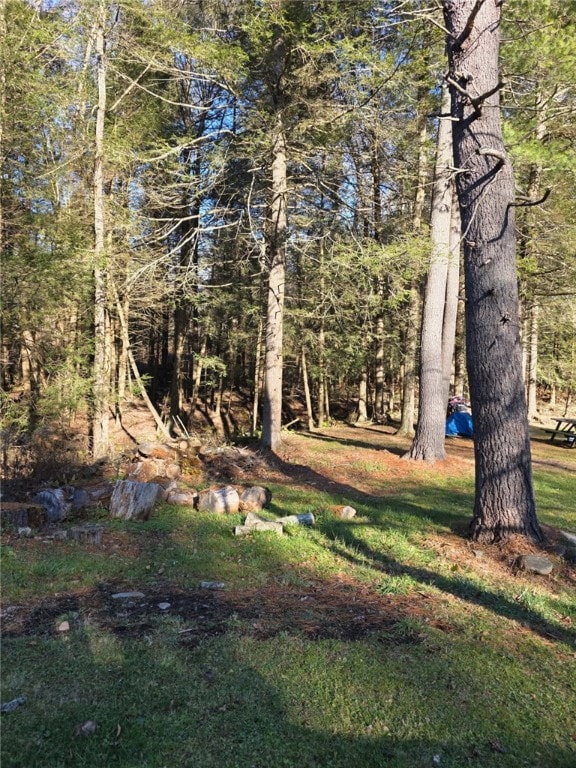 270 Baudendistel Rd, Hancock, NY 13783 - photo 5