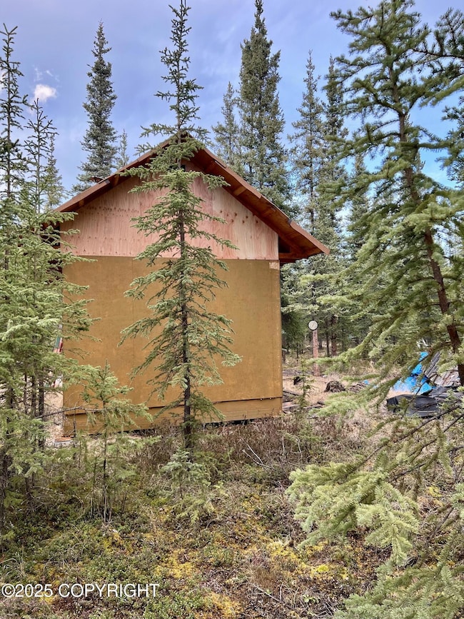 L11 B4 Jack Wade Bill Seaton Rd, Tok, AK 99780 - photo 5