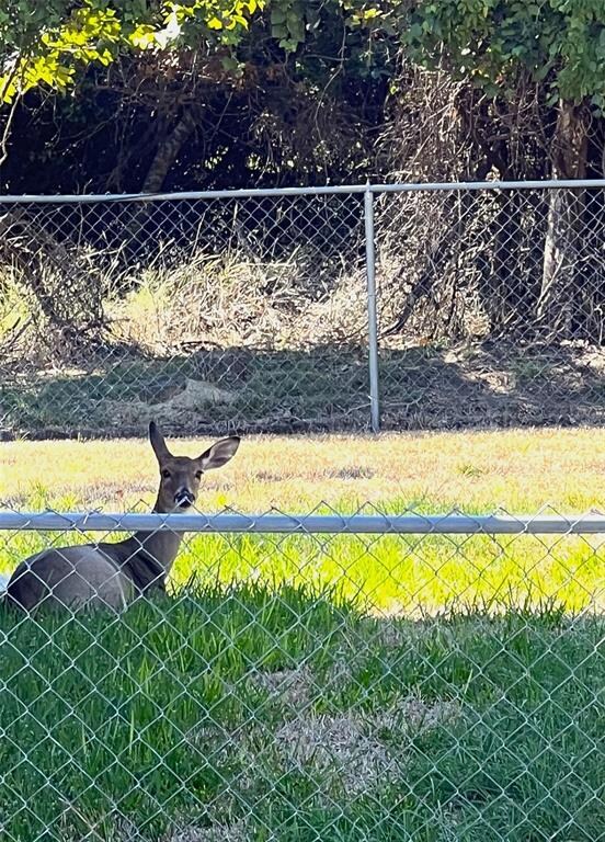 38 Coronado Trail, Weatherford, TX 76087 - photo 3