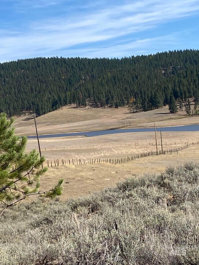 Water view featuring a forest