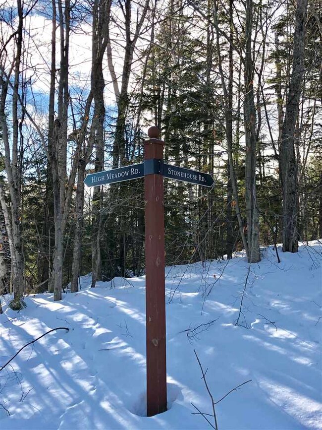 723 Stone House Rd unit F22, Winhall, VT 05155 - photo 2