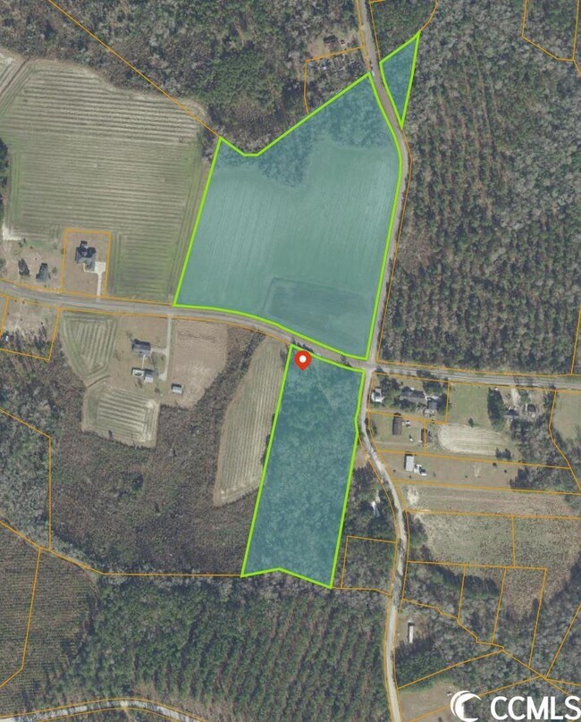 3637 Bethal Chapel Rd, Loris, SC 29569 - photo 3