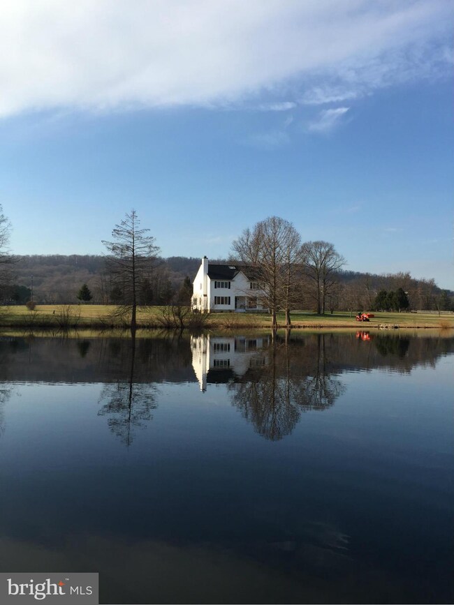 15694 Hillsboro Rd, Hillsboro, VA 20132 - photo 4