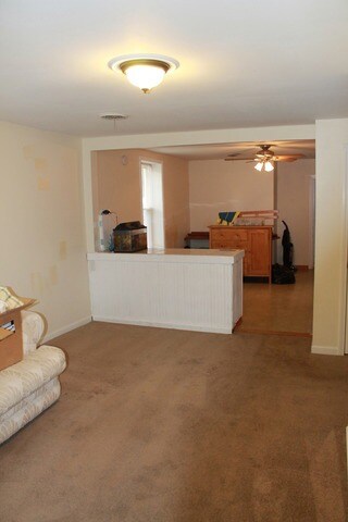 455 Chestnut St, Batavia, IL 60510 - photo 5