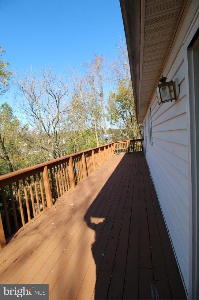 305 W Fairchild Dr, Strasburg, VA 22657 - photo 7