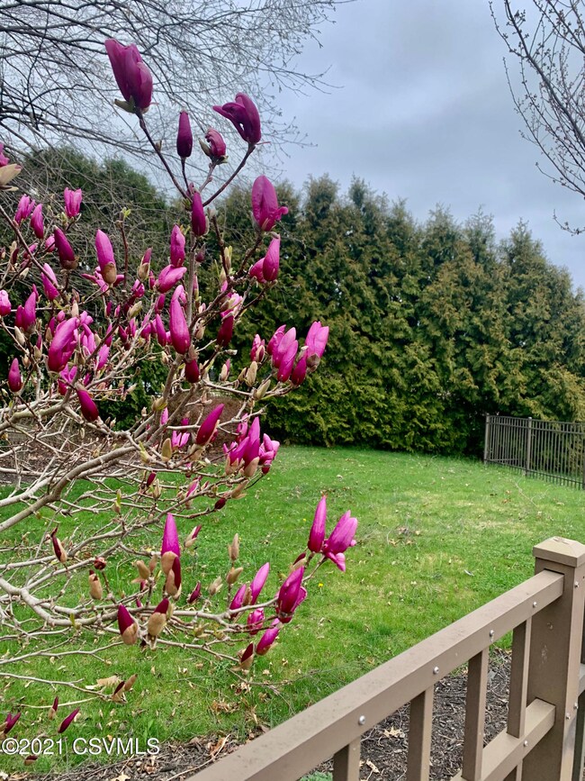 1012 Hearthstone Way, Lewisburg, PA 17837 - photo 2