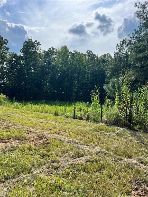 1004 Crossroads Trail, Milton, GA 30004 - photo 3