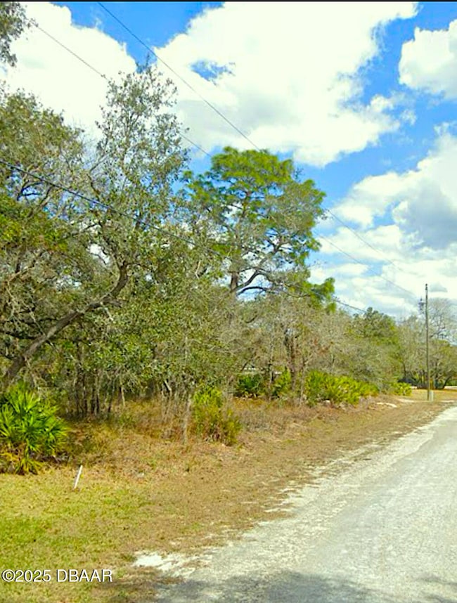 WWachee2