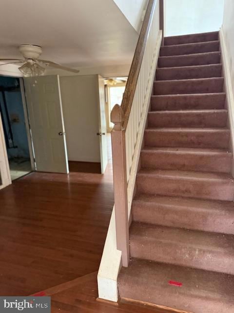 21365 Canoe Neck Way, Abell, MD 20606 - photo 5