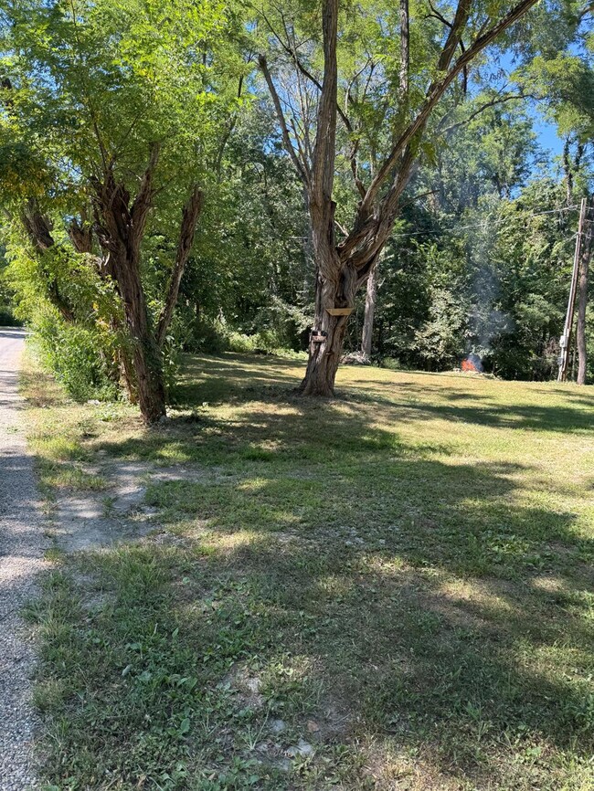 24169 Sanes Creek Rd, Laurel, IN 47024 - photo 3