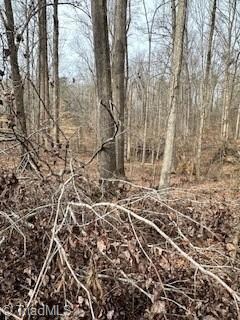 6401 Sable Ln, Greensboro, NC 27406 - photo 5