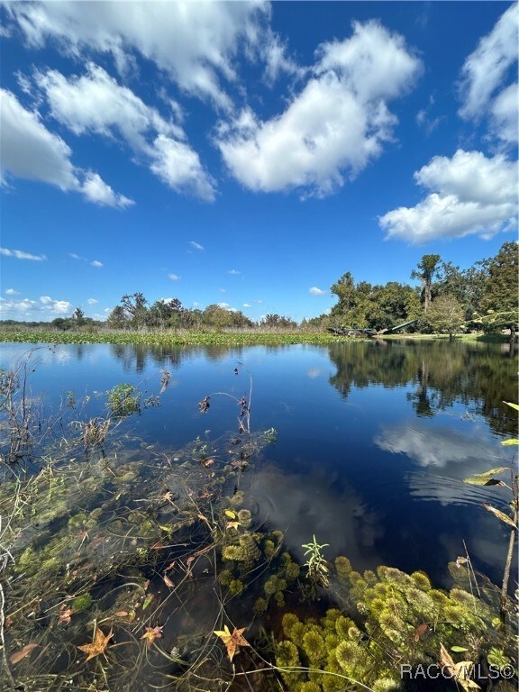 Water view