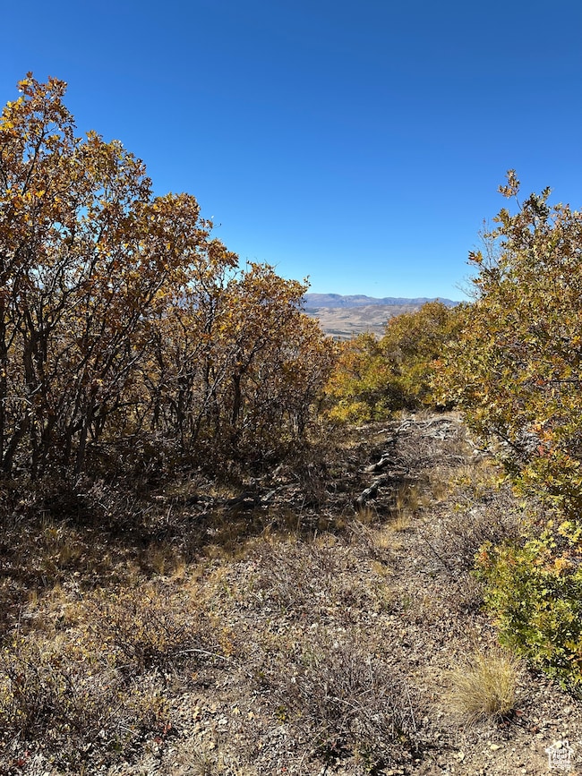 22949 N 13755 E unit 93, Fairview, UT 84629 - photo 5