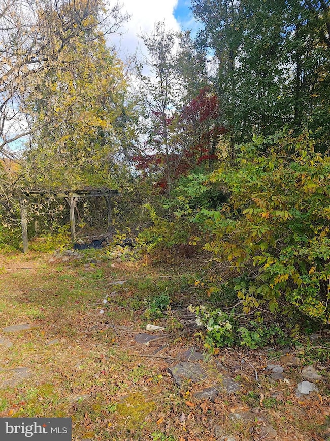 16301 Brice Hollow Rd SE, Cumberland, MD 21502 - photo 6