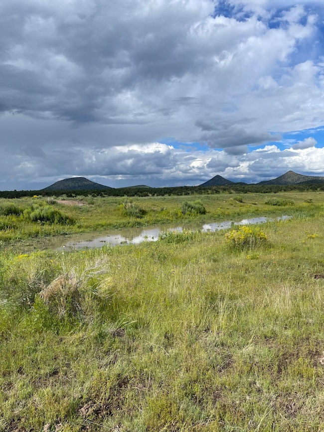 165 Reid Rd, Datil, NM 87821 - photo 2