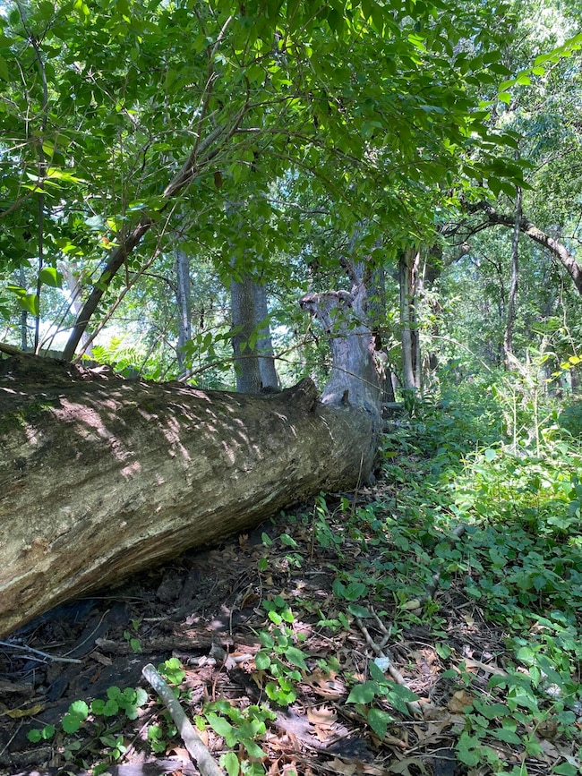 2421 Old Hobart Rd, Lake Station, IN 46405 - photo 6