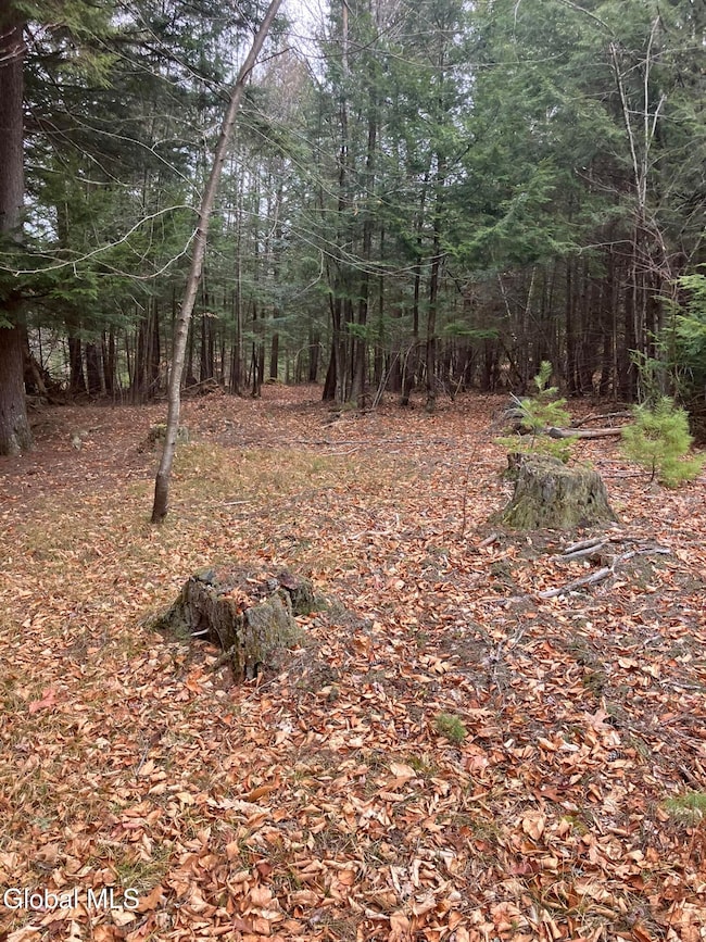 0 Scofield Rd unit 202530120, Lake Luzerne, NY 12846 - photo 7