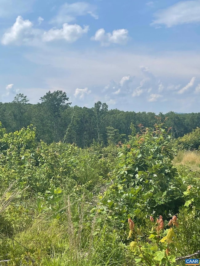 0 Passante Sr Ln unit 10 68 666509, Gordonsville, VA 22942 - photo 4