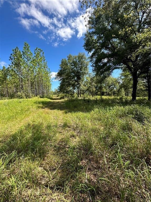 0 Hampton Rd unit 7597551, Mobile, AL 36608 - photo 3