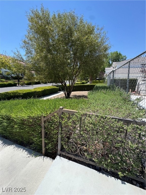 Front yard