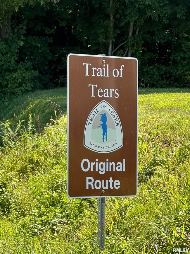 1010 Woods Rd, Stokes Precinct, IL 62912 - photo 3