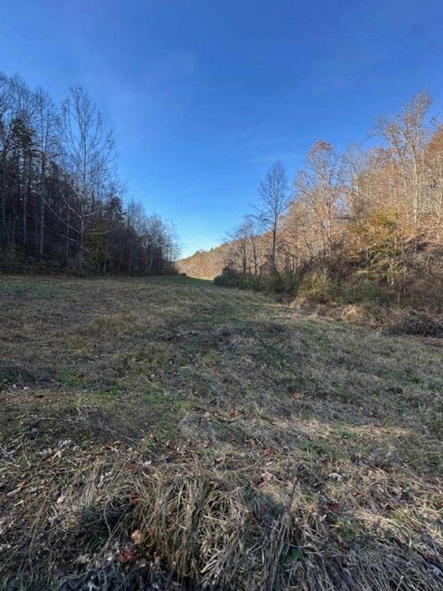 500 Beechmont Rd, Sandy Hook, KY 41171 - photo 5