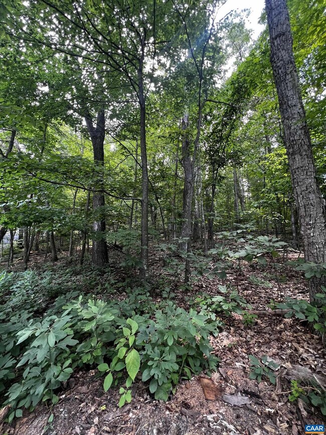 TBD Weeping Rock Ln unit 35 LAUREL SPRINGS, Wintergreen Resort, VA 22967 - photo 3