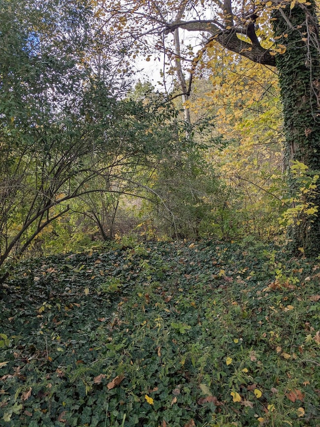 66991 Winding River Rd, Constantine, MI 49042 - photo 3