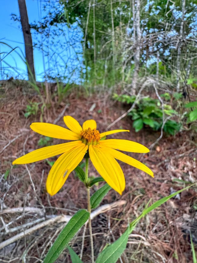 0 unit 11550309, Guin, AL 35563 - photo 4