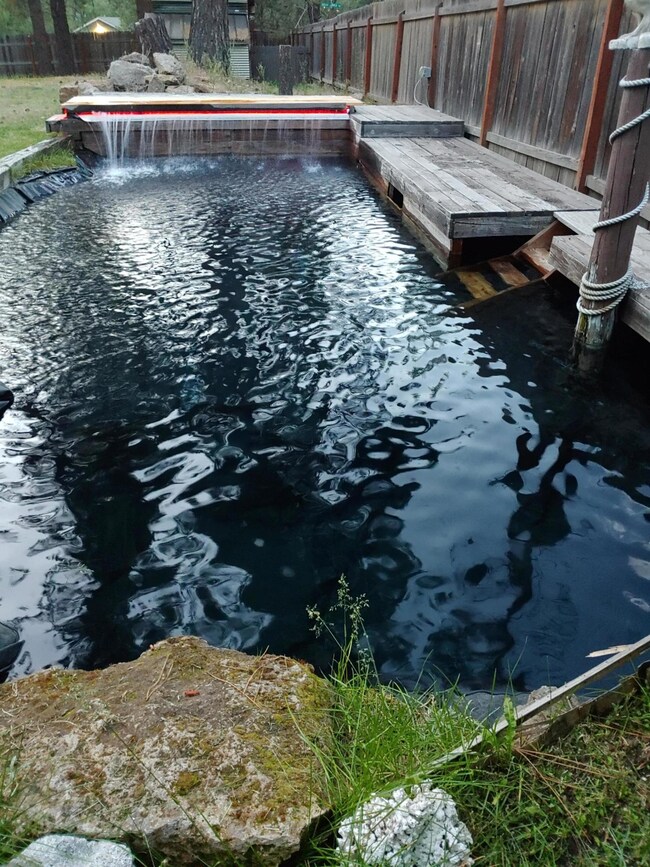 DAYTIME POND