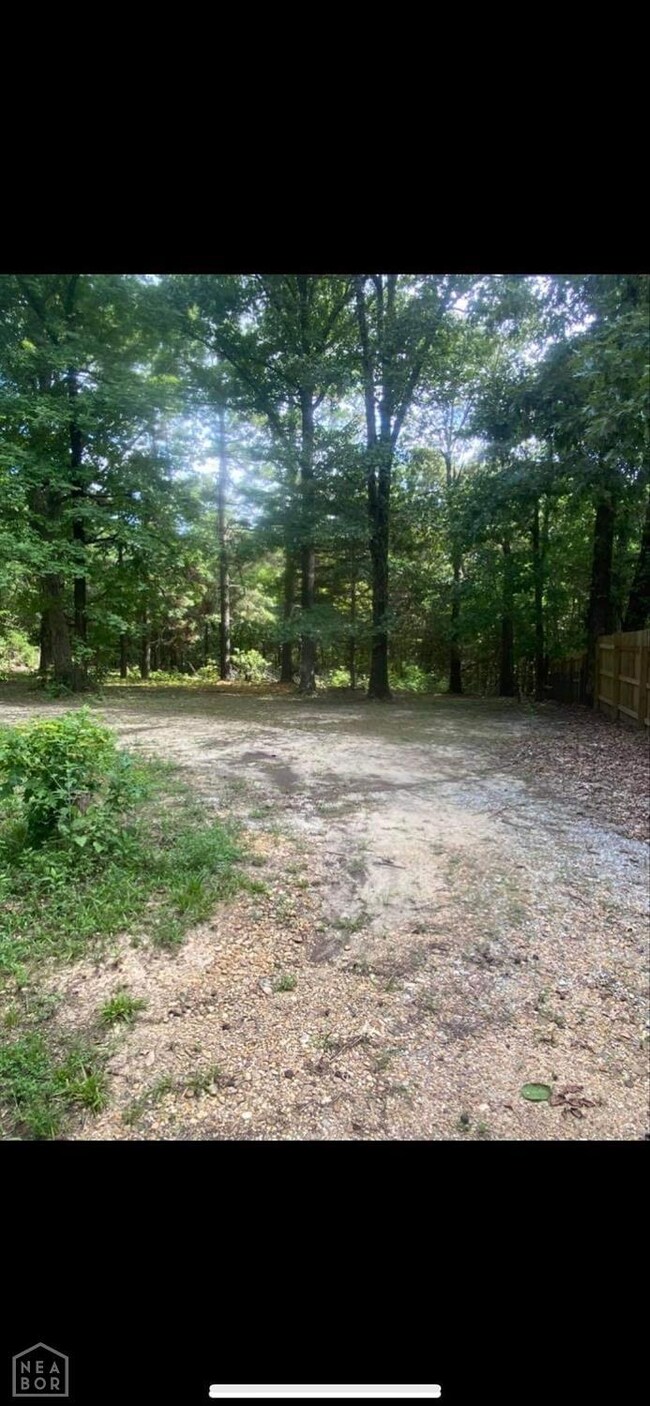 0 Fairview Rd, Paragould, AR 72450 - photo 4