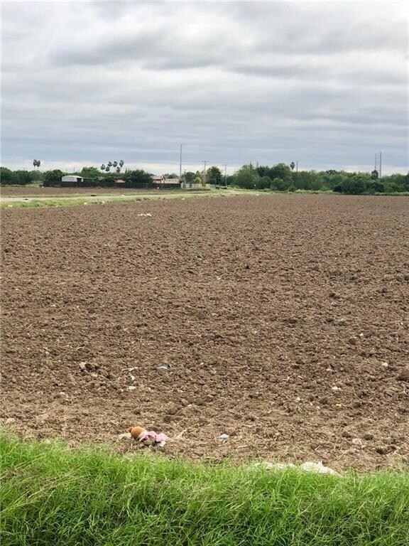 1.25M Whalen Rd, Donna, TX 78537 - photo 3