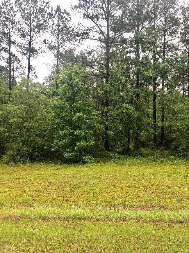 0 Creek Indian Trail unit 25923, Dublin, GA 31021 - photo 3