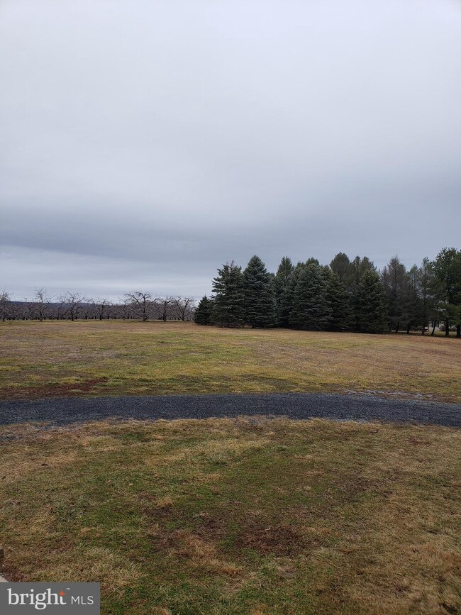 9350 N Frederick Pike, Cross Junction, VA 22625 - photo 7