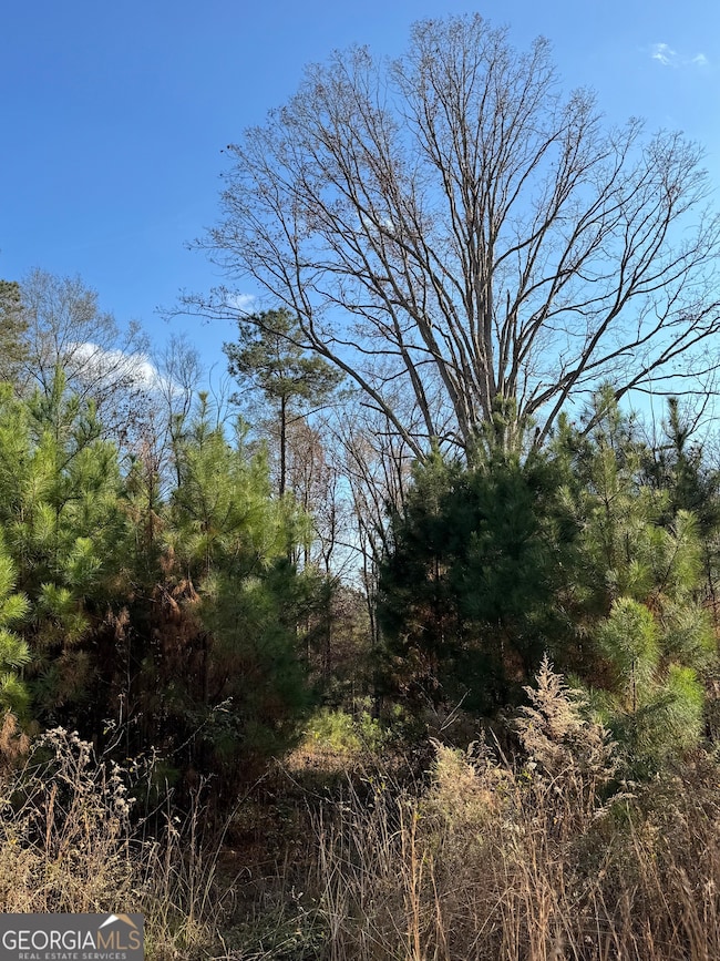 2557 Washington Hwy, Elberton, GA 30635 - photo 5