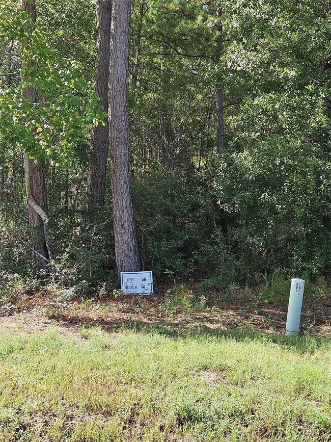 TBD-06-56 Stagecoach Cir, Huntsville, TX 77340 - photo 7