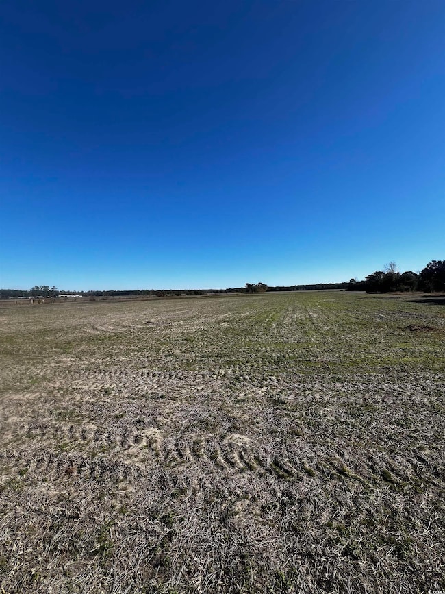 2292 Nichols Hwy, Aynor, SC 29511 - photo 2