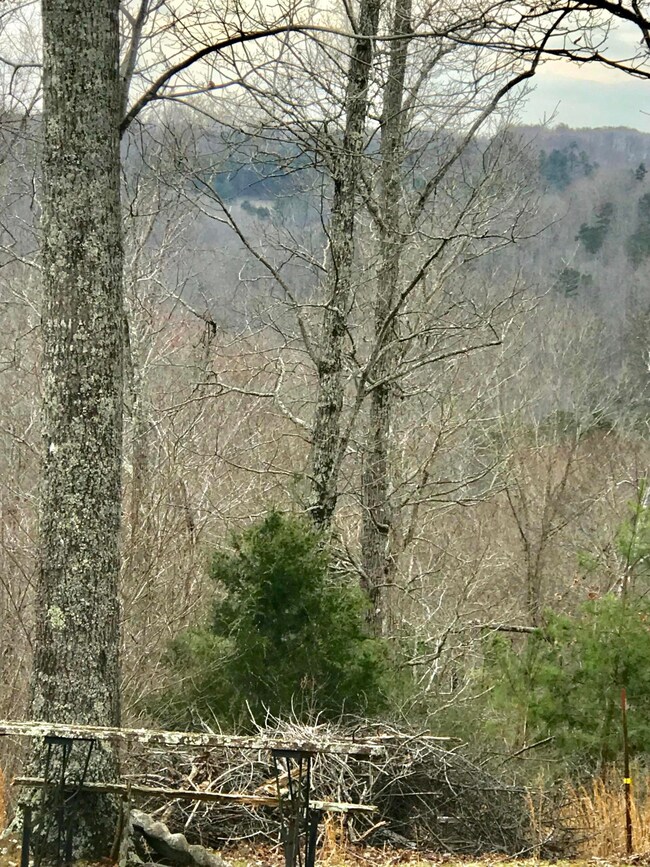 1085 White Lily Church Rd, Somerset, KY 42501 - photo 5