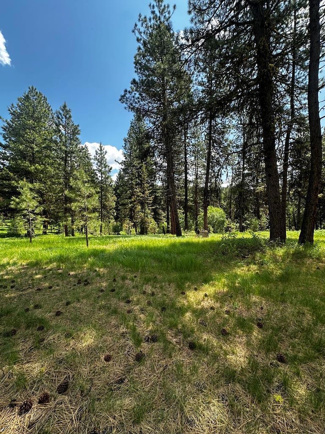 23 Vernon Ct unit Lot 21, McCall, ID 83638 - photo 2