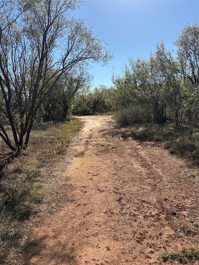 917 S Interstate Highway 20 Hwy, Trent, TX 79561 - photo 2