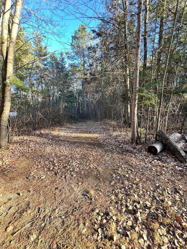 TBD County Road 427, Blackberry Township, MN 55744 - photo 2