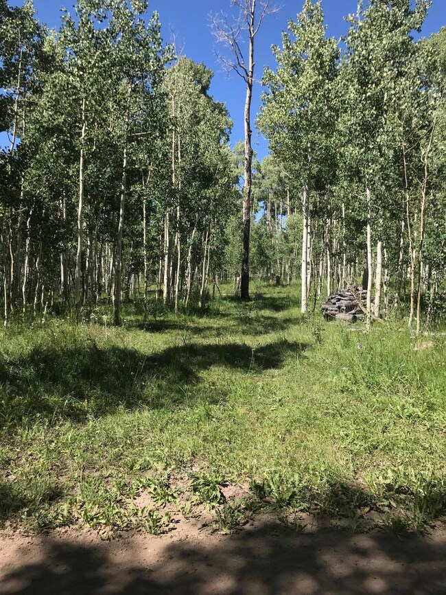 0 Lot 15 Blk B Unit 1 unit Green Meadows Acres, Brian Head, UT 84719 - photo 5