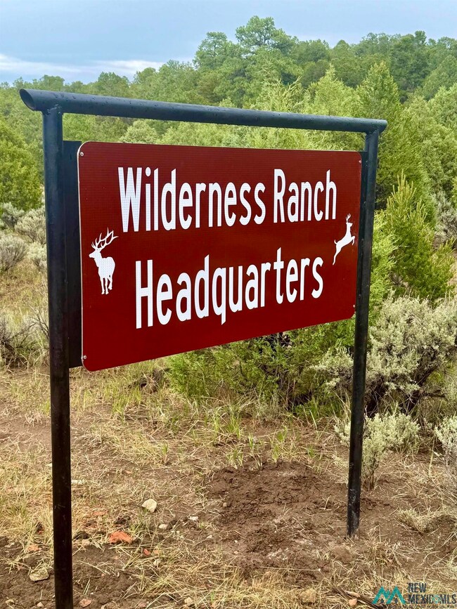 Highway 96 & 595 Hwy, Regina, NM 87017 - photo 7