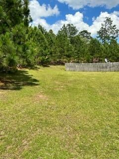 Rear Yard 2