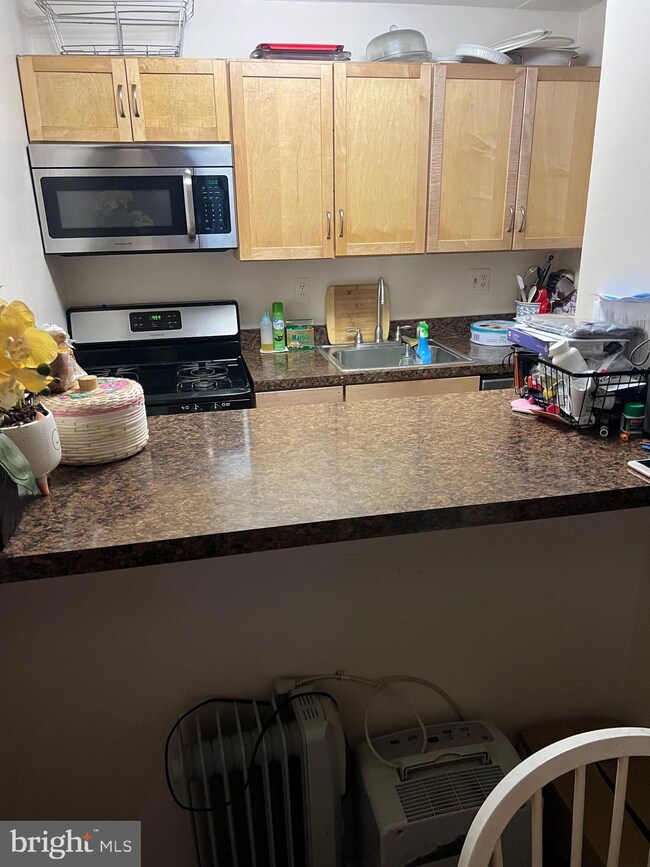 2603 Redcoat Dr unit 1 A 259, Alexandria, VA 22303 - photo 4