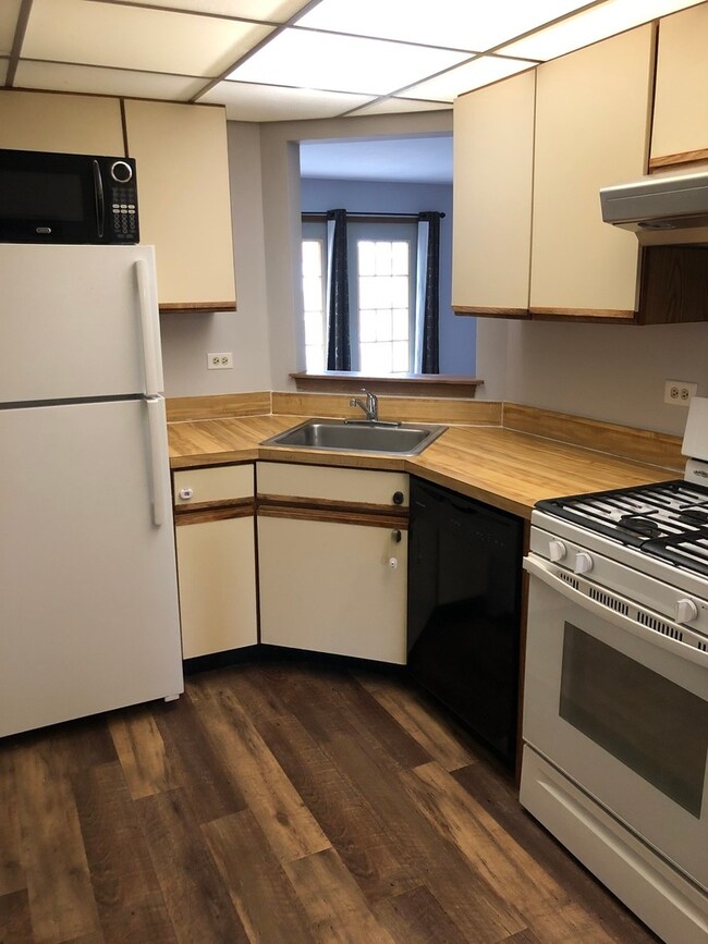 692 Quincy Bridge Ln unit 301, Glenview, IL 60025 - photo 4