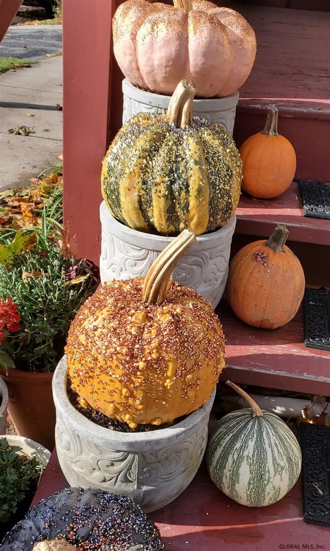 127 Division St, Saratoga Springs, NY 12866 - photo 4