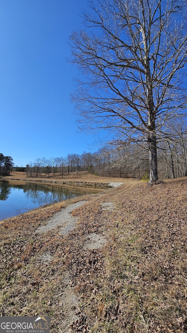 LOT 1 Snote Jones Rd, Dallas, GA 30132 - photo 4