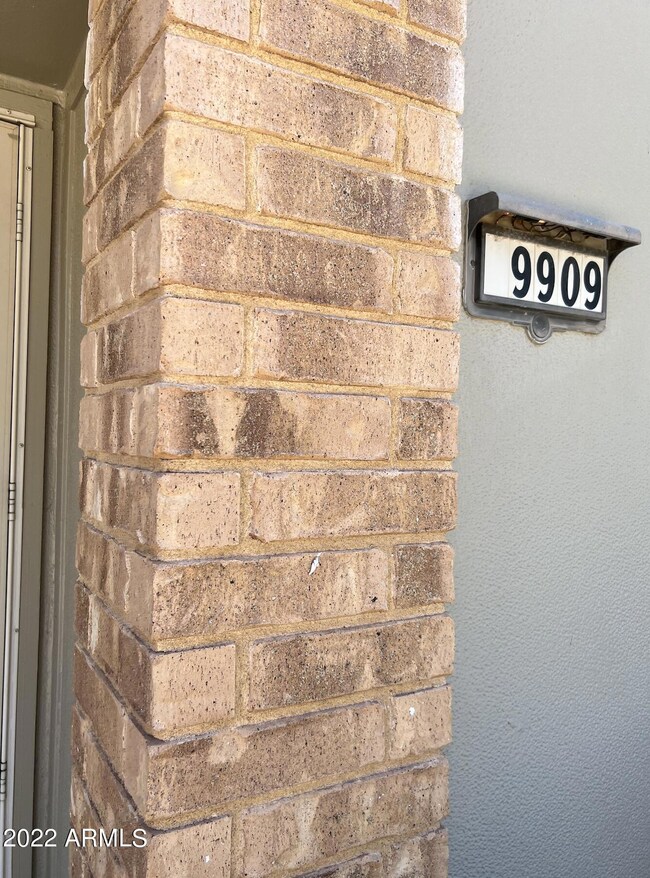 Screen Shot 2022-06-15 at 11.35.25 AM