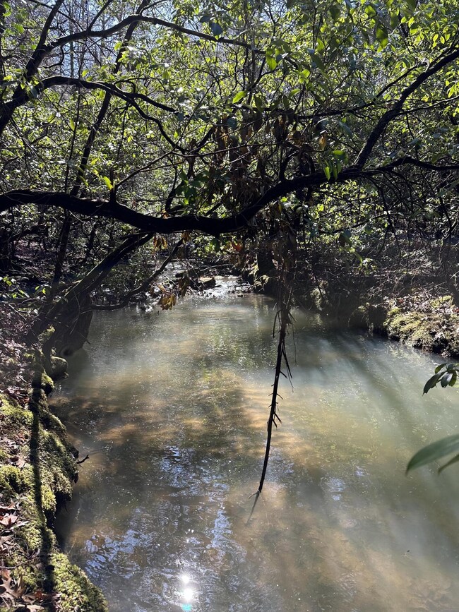 16 Thomas Springs Rd, Crossville, TN 38572 - photo 4